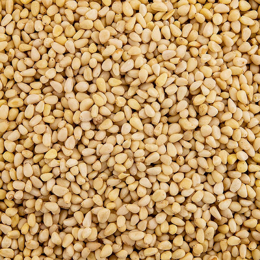 Pignons de pin, de Chine, emballés dans un sac de 1 kg