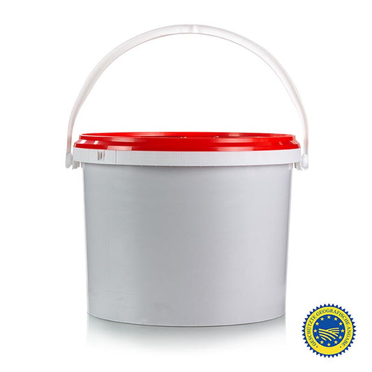 Moutarde Düsseldorfer ABB - Originale, moyennement forte, IGP, 9,39 litres - Moutarde allemande traditionnelle dans un grand récipient de 9,39 litres.