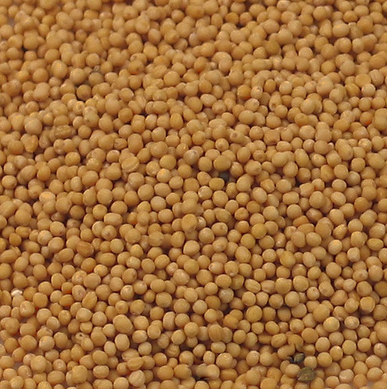 Graines de moutarde, de couleur claire, 1 kg emballé dans un emballage réutilisable de haute qualité