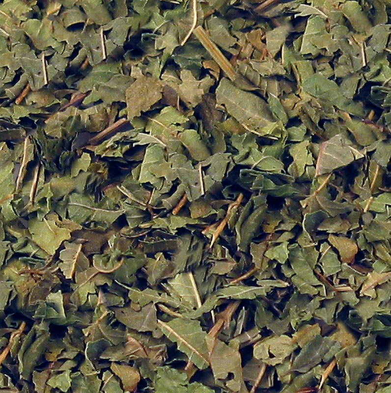 Verveine citronnée fraîche coupée, 100 g, pour usages culinaires et médicinaux