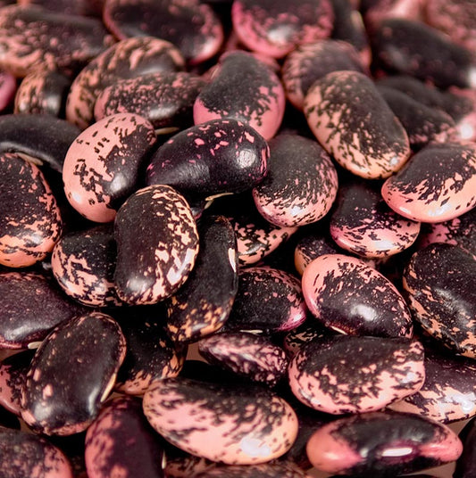 Haricots secs d'un poids de 1 kg de couleur rouge-noir-violet en provenance d'Autriche