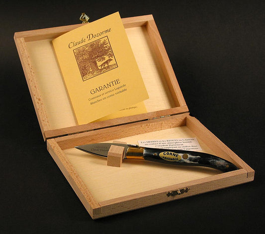 Couteau à huîtres avec manche en corne et lame large, modèle Laguiole, emballé dans un coffret en bois - 1 pièce