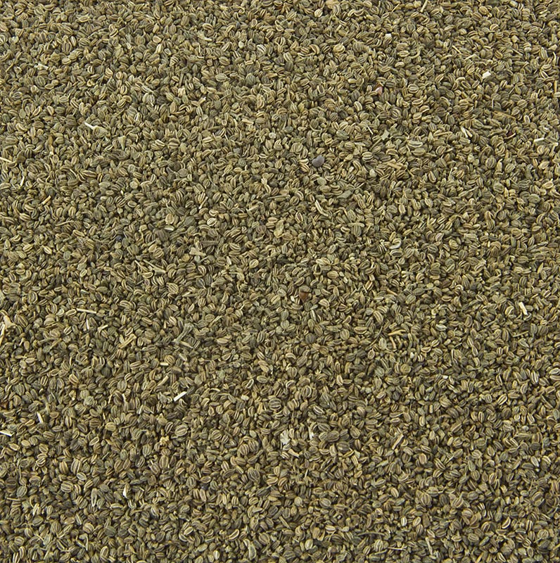 Graines de céleri, graines entières, 1 kg, culture et emballage biologiques