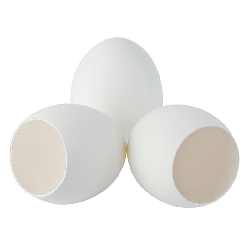 Coquilles d'œufs blancs vides pour le remplissage, paquet de 120