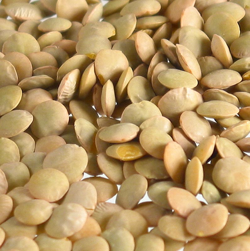 Lentilles représentées sur fond blanc, de couleur blonde, de taille moyenne, originaires de France, emballées dans un sac de 5 kg.