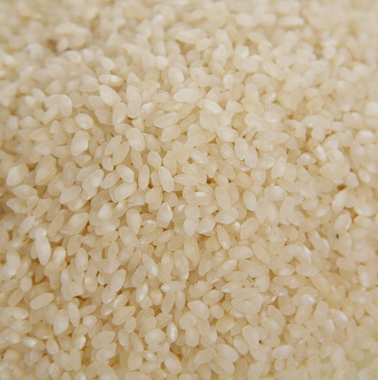 Arroz Bomba fumé, riz à grains ronds du delta de l'Ebre en Espagne, conditionné en sachet de 500 g