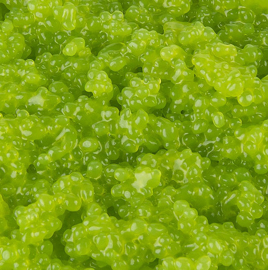 Cavi-Art® caviar d'algues au goût de wasabi, une délicieuse option végétalienne de 500g