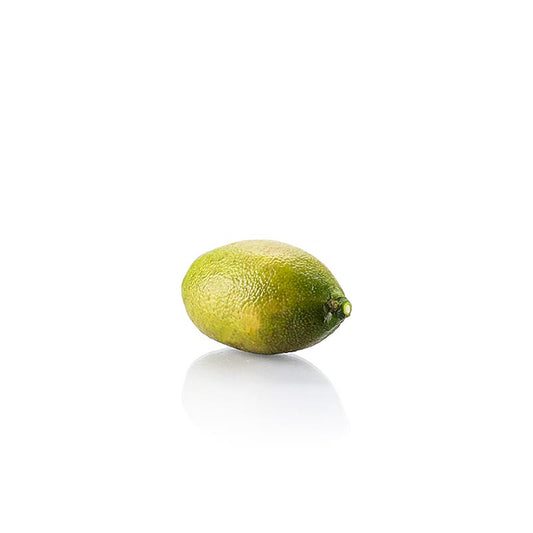 Vibrant et frais 1 kg de citrons verts ou de caviar de citrons verts, entiers 