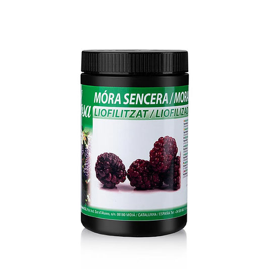 Gros plan sur les mûres lyophilisées Sosa, entières (38051), 80 g, montrant la couleur violette vibrante et la texture naturelle des mûres lyophilisées.