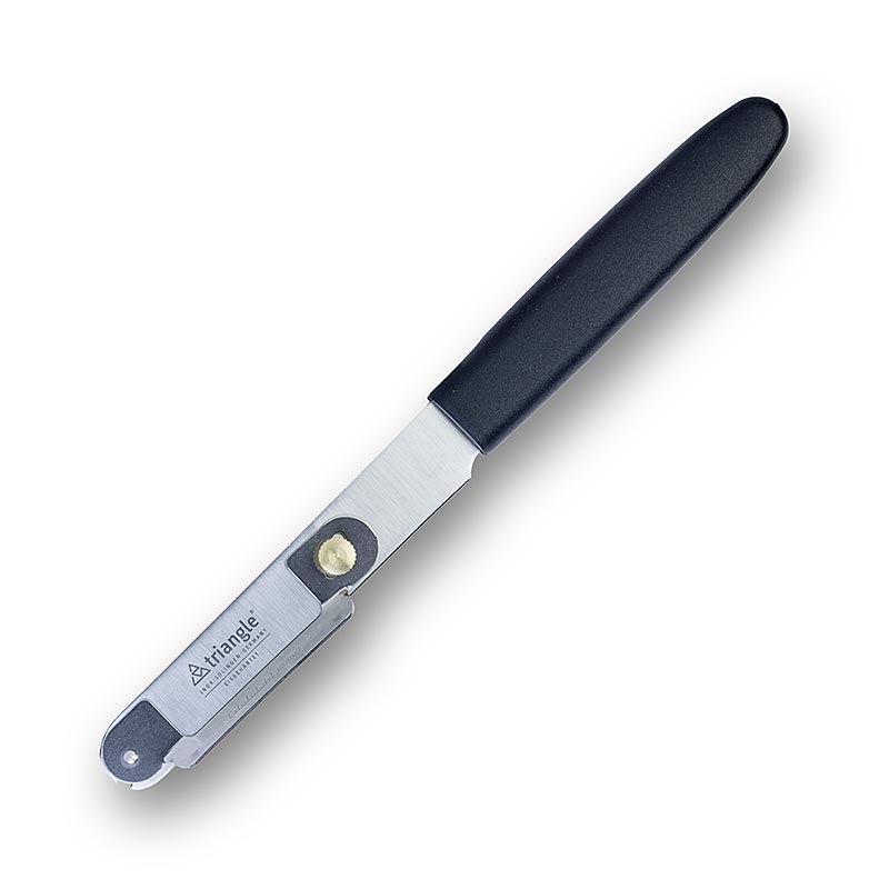 Epluche asperges en acier inoxydable avec manche en plastique par Triangle Tools