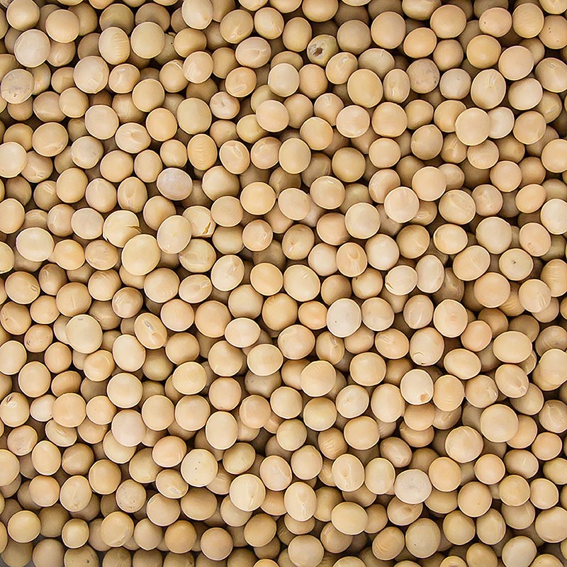1 kg de graines de soja séchées, également appelées haricots, issues de l'agriculture biologique