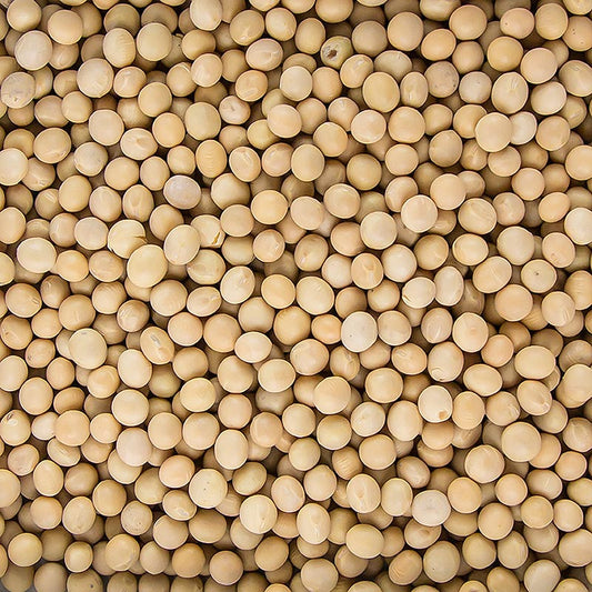 1 kg de graines de soja séchées, également appelées haricots, issues de l'agriculture biologique