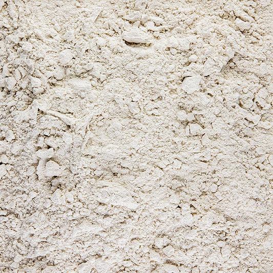 Image de haute qualité d'un paquet de 1 kg de farine de sarrasin, une alternative nutritive et polyvalente à la farine sans gluten.