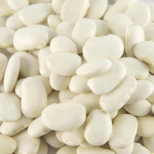 1 kg de gros haricots blancs Corona séchés, parfaits pour la cuisson et la conservation, riches en saveur et en nutriments