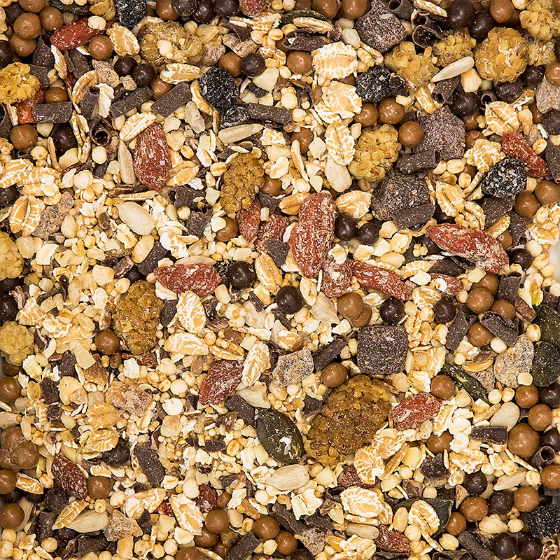  BOS FOOD Super Muesli - Chocolat, 500 g Riche mélange d'ingrédients biologiques tels que l'avoine, les graines et le cacao