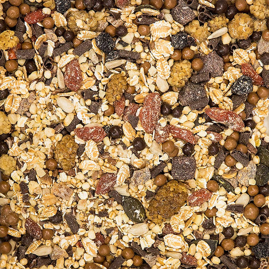  BOS FOOD Super Muesli - Chocolat, 500 g Riche mélange d'ingrédients biologiques tels que l'avoine, les graines et le cacao