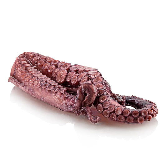 Bras de poulpe (pulpo) sur une assiette blanche, précuits, environ 350g